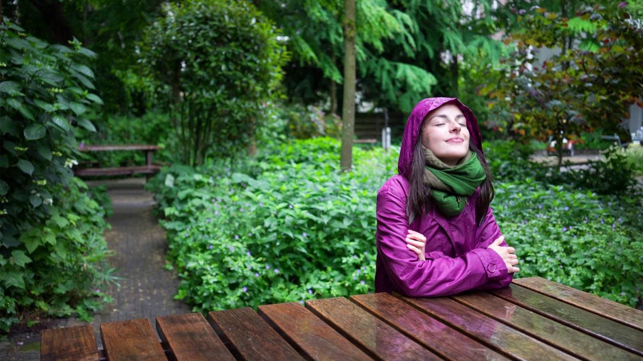 Peace through Heartfulness - Guided Meditation | 20 mins