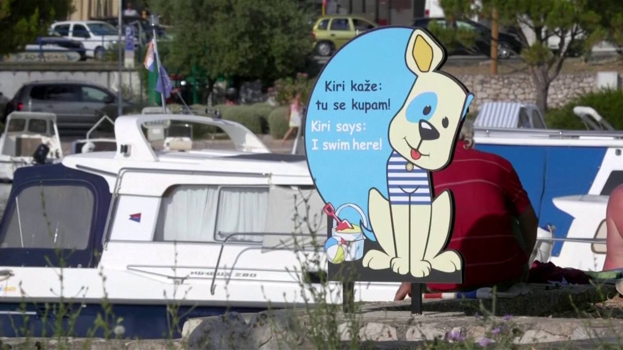 This luxury beach resort is for the dogs