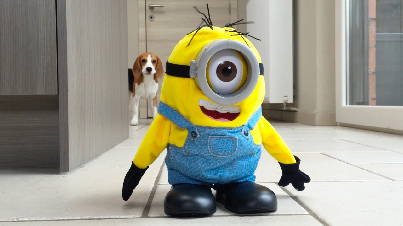 Puppy Pranked by MINION STUART Surprise! Funny Reaction