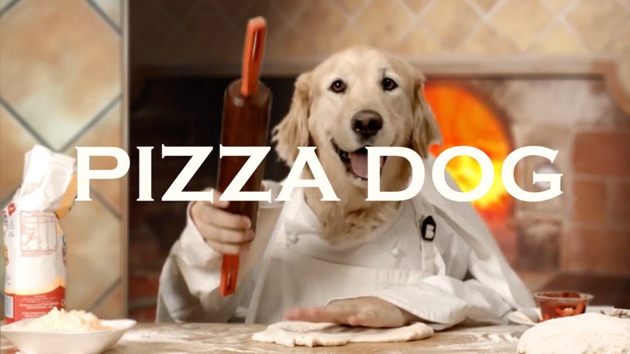 Pizza Dog