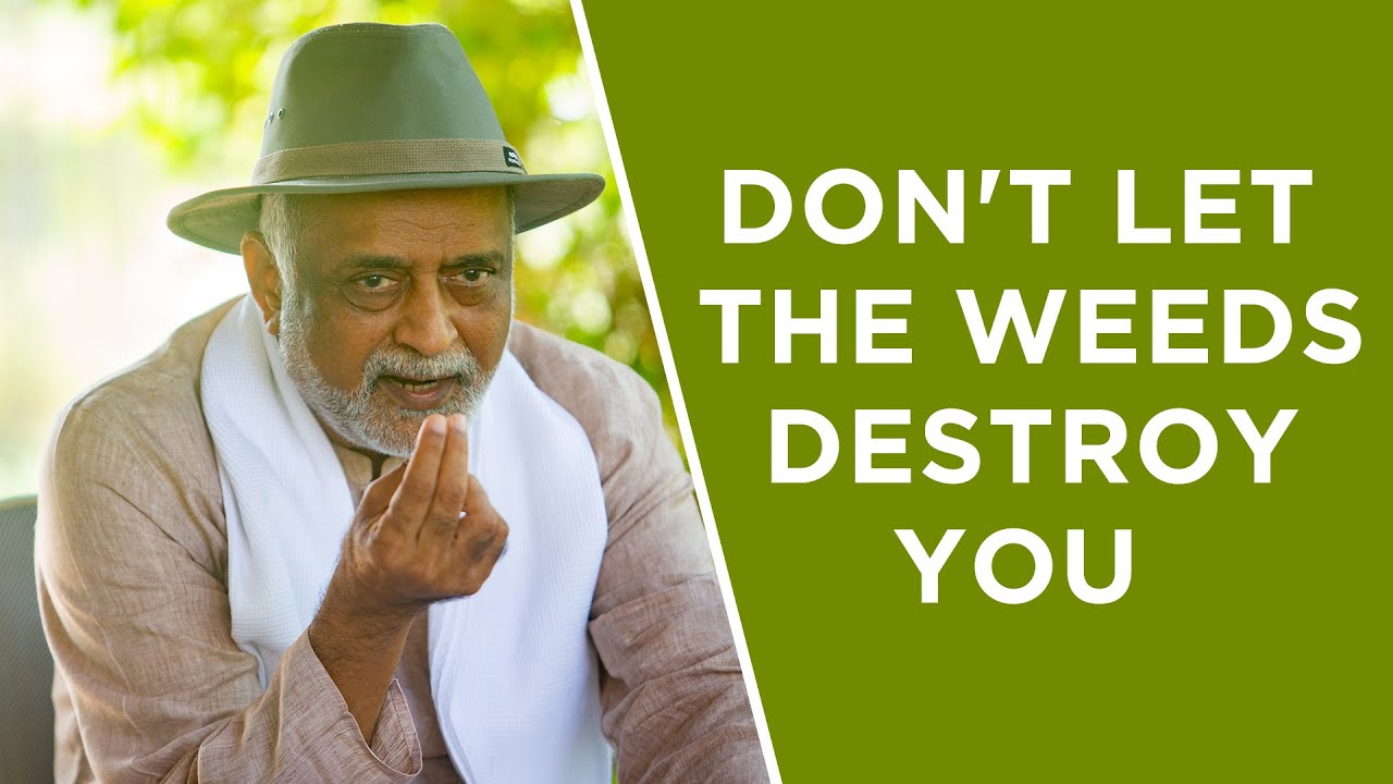 Remove your bad habits immediately | Short story | Daaji