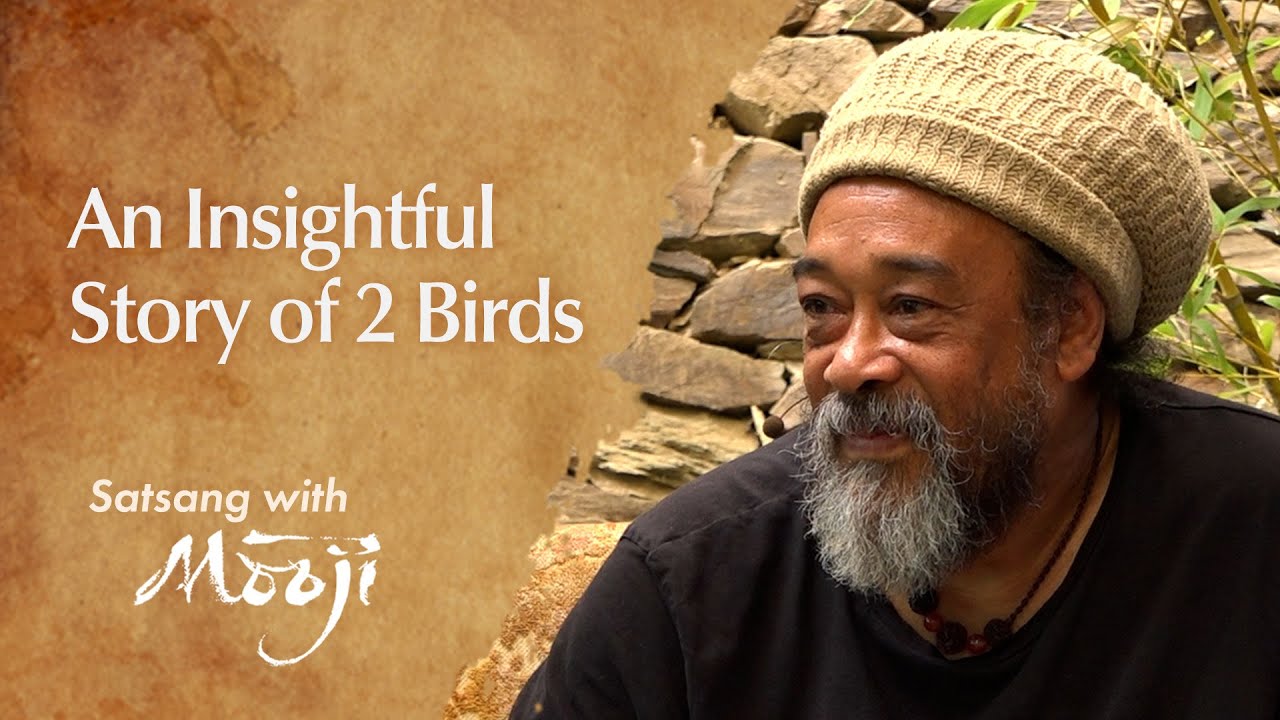 An Insightful Story of 2 Birds