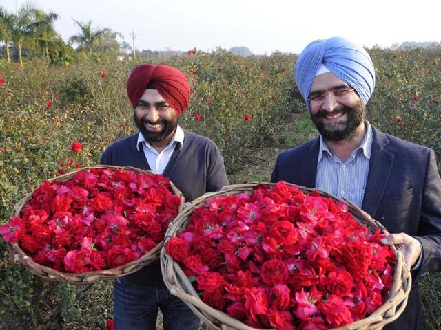 Happy Rose Farmers