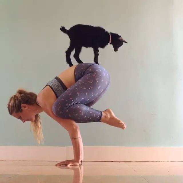 Rachel Brathen and her Cute Yoga Partner