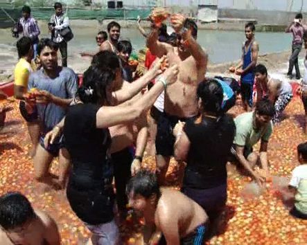 Tomato Holi