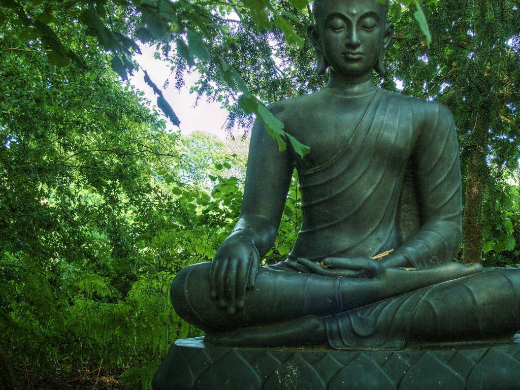 Existence Of Soul: The Buddhist Paradox