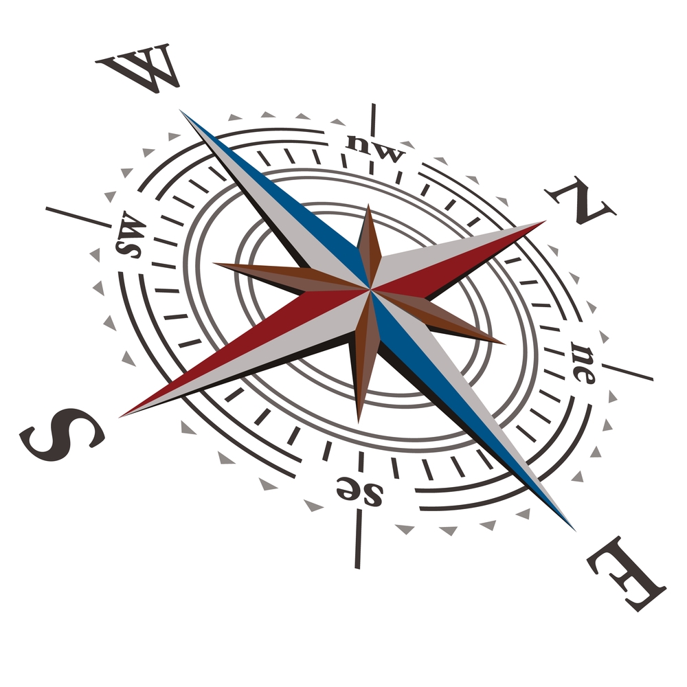 3 D Vector wind rose compass