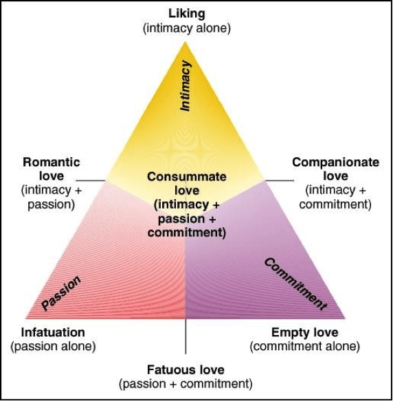 The Triangular Theory Of Love BW Wellbeingworld