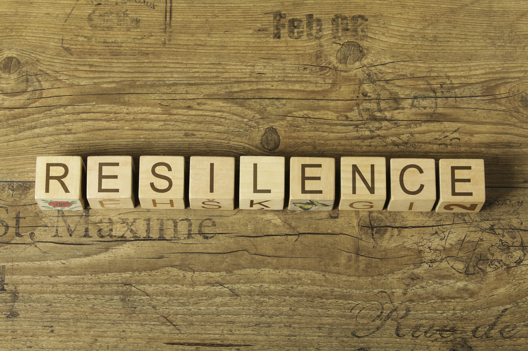 What Does It Take To Be Resilient?