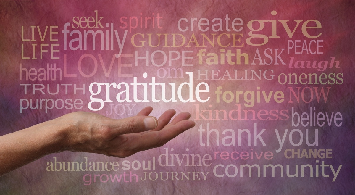 Let's Cultivate Some Gratitude in You!