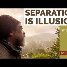 Separation is ILLUSION - Wisdom