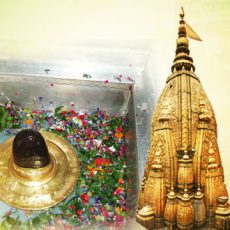 kashi-vishwanath-live-darshan-aarti-timings