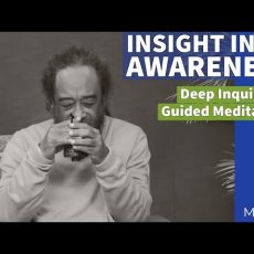 Insight In To Awareness -  (Deep Inquiry)