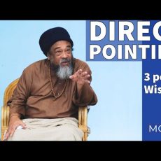 Direct Pointing - Wisdom (3 Points)