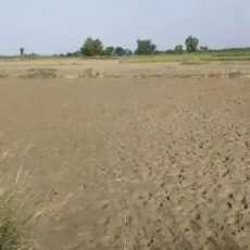 उत्तर प्रदेश में अगले 100 दिनों में 1.71 लाख हेक्टेयर भूमि खेती योग्य बनाई जायेगी