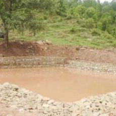 राज्य सरकार की पहल पर 100 दिनों में मनरेगा से मिलेगा 600 तालाबों को नया जीवन