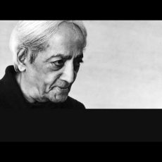 Audio | J. Krishnamurti - Rajghat 1969 - Dialogue - Flowering is only possible in freedom