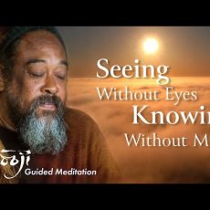 Guided Meditation — Seeing Without Eyes, Knowing Without Mind