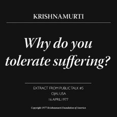 Why do you tolerate suffering? | J. Krishnamurti