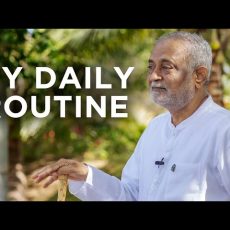 What is Heartfulness? | Daaji's daily routine