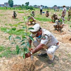पूरे डेढ़ महीने चलेगा यूपी में वृक्षारोपण अभियान, 15 अगस्त तक हर गांव में 75 पेड़ लगाने की कार्ययोजना तैयार