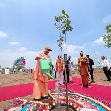 CM योगी ने UP में शुरू किया मेगा वृक्षारोपण अभियान