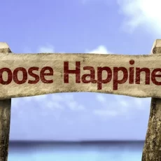 Happiness 2