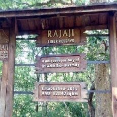 राजाजी टाइगर रिजर्व में 14 नवंबर तक जंगल सफारी बंद