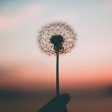 59915-aleksandr-ledogorov-310150-unsplash.1200w.tn